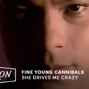 Fine Young Cannibals