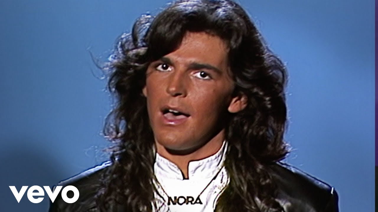 You’re My Heart, You’re My Soul – Modern Talking