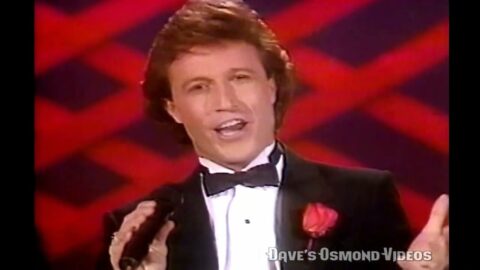 Andy Gibb “Our Love Don’t Throw It All Away” 1978